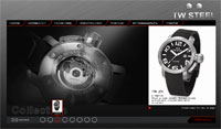 TW Steel image 1